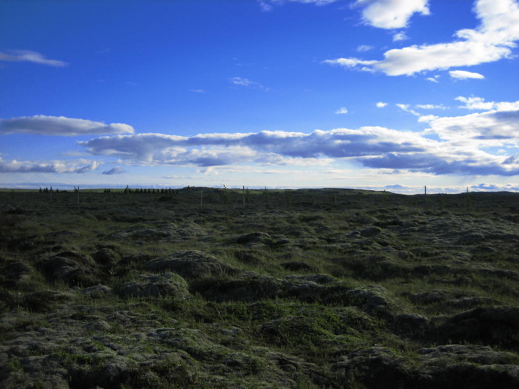 Icelandic Cottages Hraunmork Exteriér fotografie